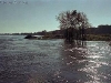 Altmark - Elbe