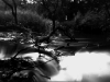 wupper