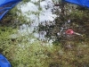 schwimmbecken