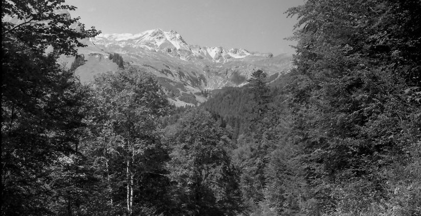 Landschafts-u. Naturfotografie: Allgäu im September