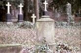 Neuwied: der historische Friedhof Neuwied: der historische Friedhof