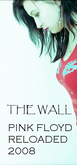 Coverdesign The Wall