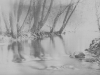 wupper_lith_425