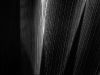 palme2_525