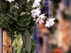 blumenkranz