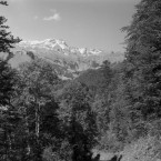 Landschafts-u. Naturfotografie: Allgäu im September