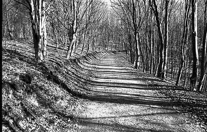 Landschaften