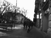 zuerich-schwarzweiss-28